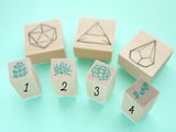 Succulent plants with pot stamps