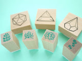 Succulent plants with pot stamps