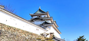 Wakayama castle