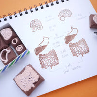 Anatomical model unique rubber stamps, Medical rubber stamps, Japanese rubber stamps