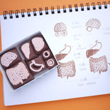 Anatomical model unique rubber stamps, Medical rubber stamps, Japanese rubber stamps